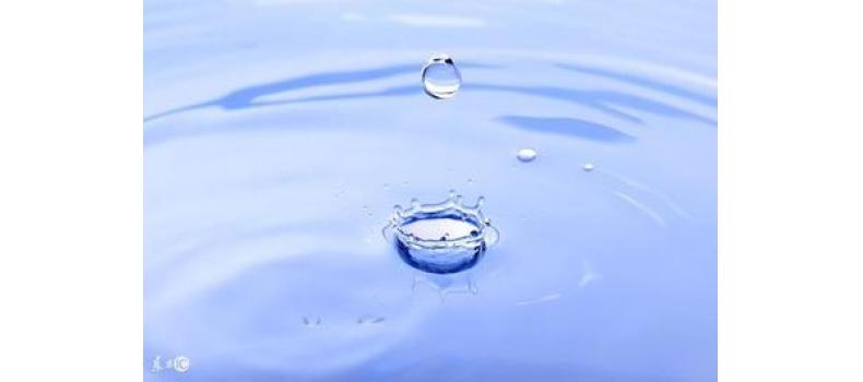 養(yǎng)蝦先養(yǎng)水！養(yǎng)水的關(guān)鍵核心原來是它！