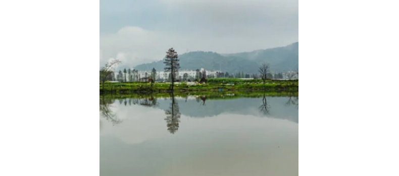 水產(chǎn)養(yǎng)殖過程中如何應對冬季惡劣天氣？