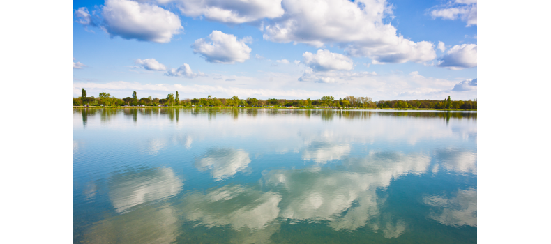 早春如何快速培育優(yōu)良水質(zhì)和藻相？