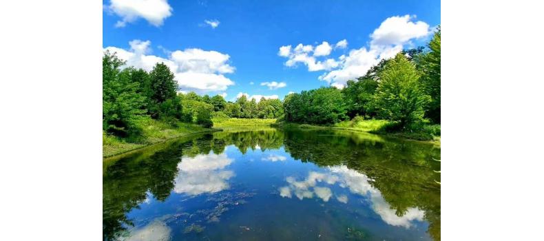 回溫期養(yǎng)蝦如何治弧菌？